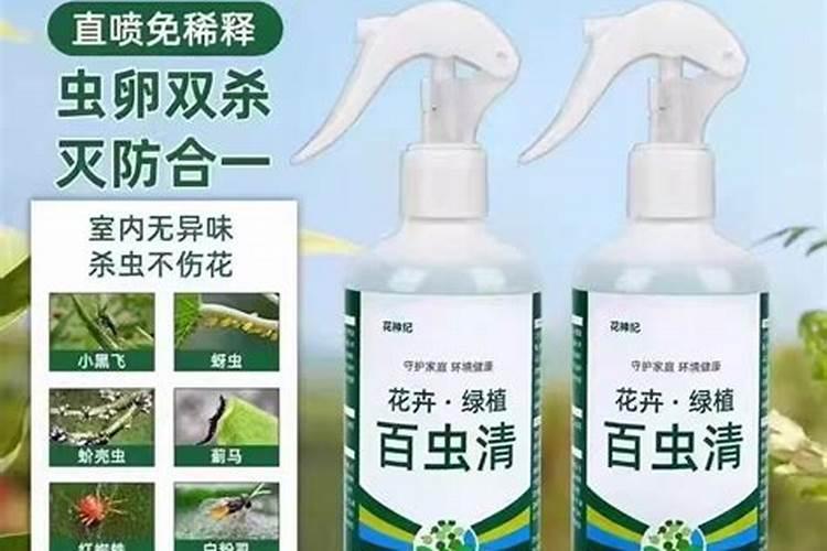 养花万能杀菌药  什么药可以浇花