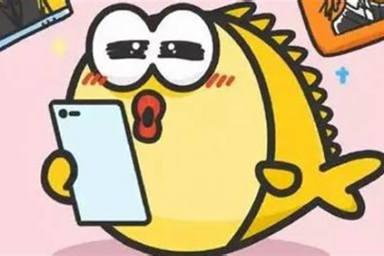 颗粒硼肥的正确使用方法