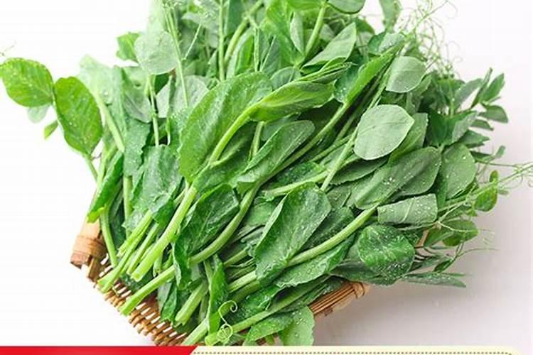 豌豆对于肥料具体有哪些要求？该如何施肥呢？