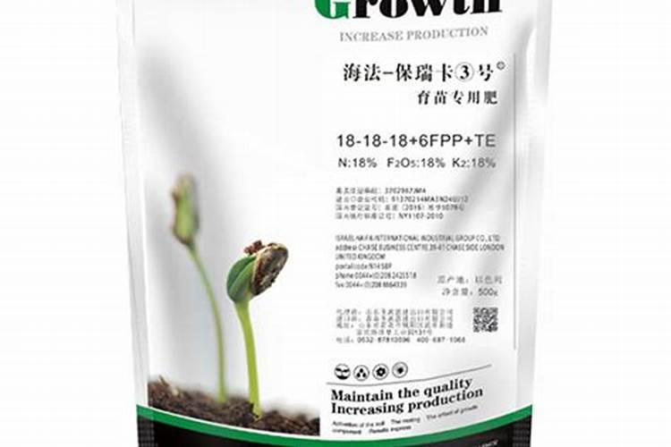 镜面草怎么养殖？