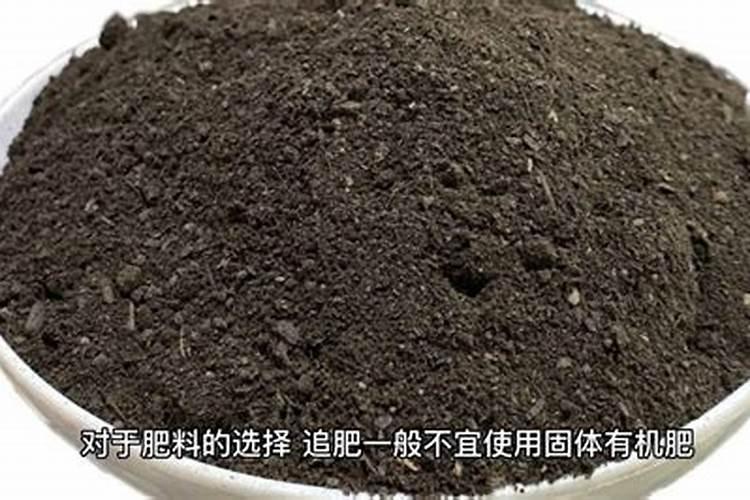 法师多久服盆,一般多长时间服盆