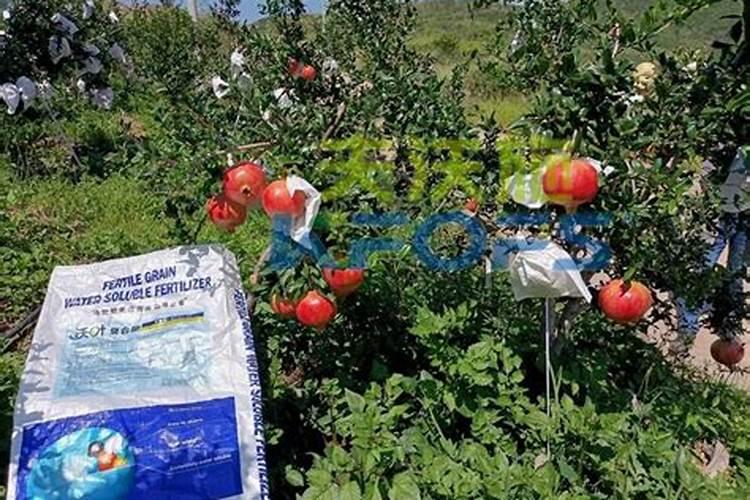 钾肥遇水多长时间融化