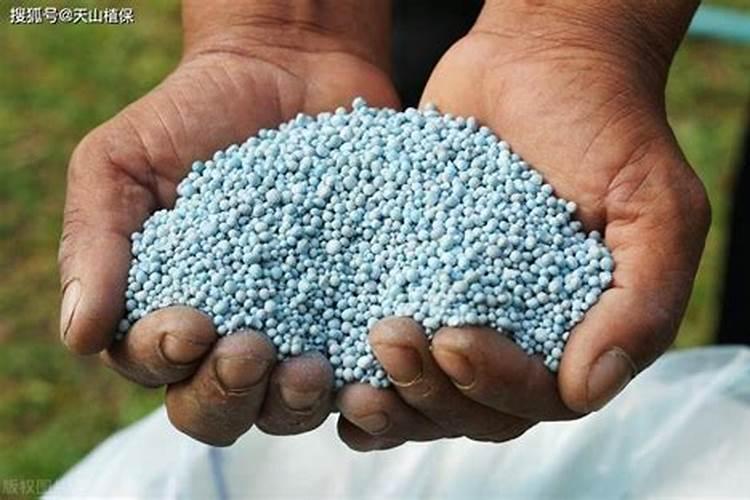 什么是功能肥？功能肥都含有什么成分？与普通化肥比较有什么优缺点？