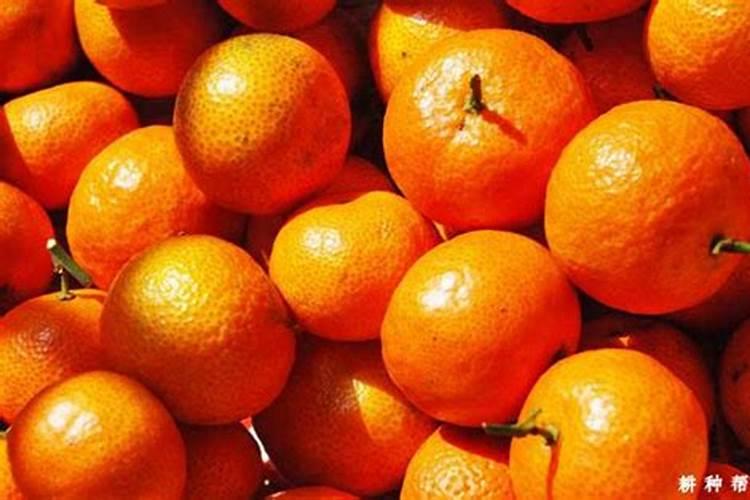 挂果沙糖桔怎样施肥 用什么肥料效果好