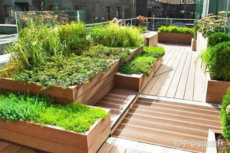 玉吊钟的养殖方法和注意事项