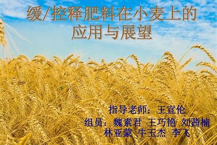 嘉施利黑晶灵复合肥小麦用什么底肥好