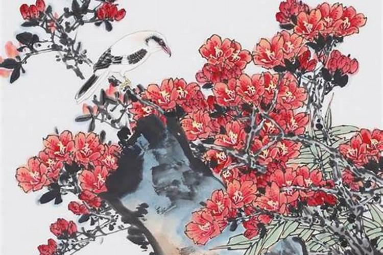 水培富贵竹可以放糖吗,水培富贵竹加多少水