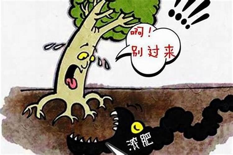 昙花花蕾变红死掉怎么办