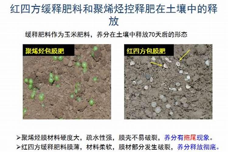 水溶肥三个字的商品名字有哪些