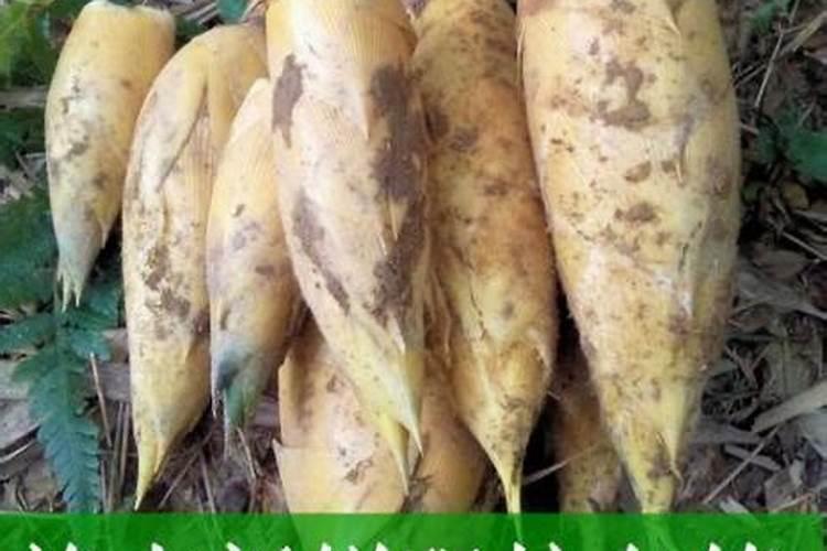 mg偏高是什么意思？