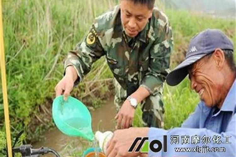 锌肥每亩玉米施肥多少