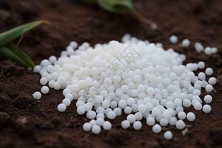 尿素是硝态氮肥还是铵态氮肥