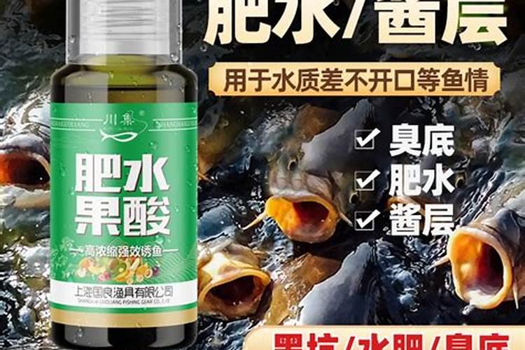 肥水钓鲤鱼用什么味型的小药
