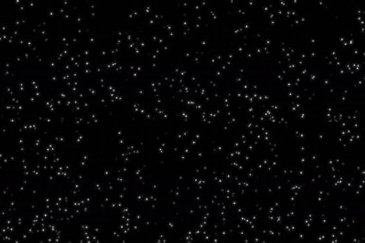 花肥白色颗粒是什么 不同花肥的元素不同