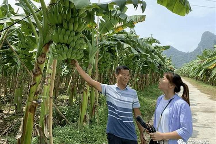 为什么火箭会用偏二甲肼和二氧化氮反应