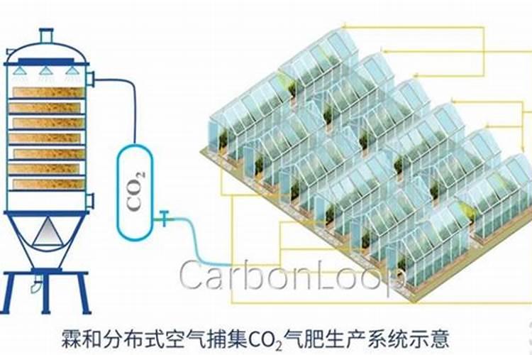 玉米专用肥哪个品牌好