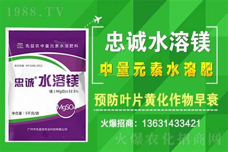 有机肥设备哪家好