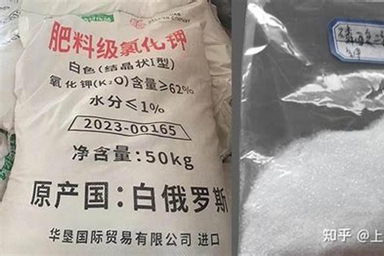 种植辣椒用什么底肥最好