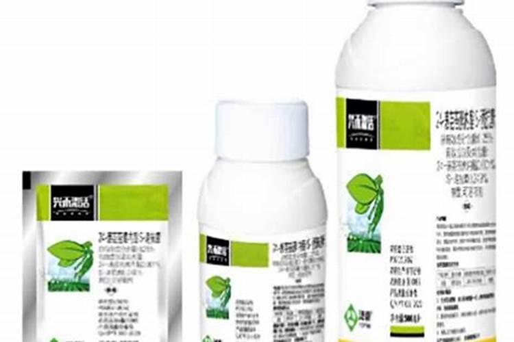 太阳鱼的最好吃做法,香味飘过几条街