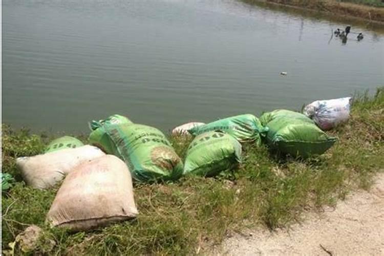 多效锌肥哪里有卖的啊