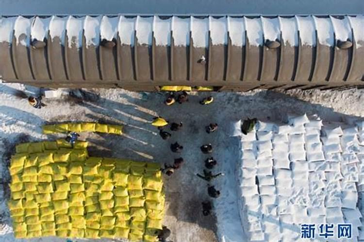 常见进口水溶肥品牌有哪些