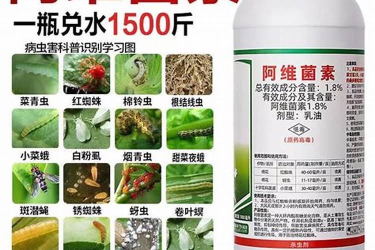 水稻第一次药打什么杀菌剂