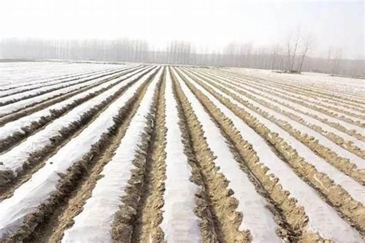 农业生产上 氮肥的来源有哪些