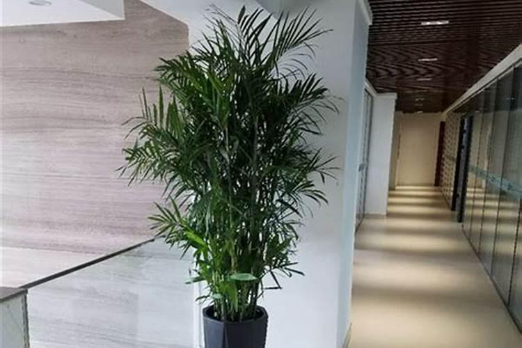 中国水溶肥的前十名中国十大水溶肥排名