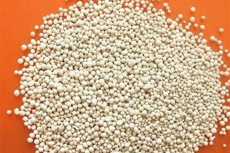 花菜怎样施肥长得好？种花菜用什么肥料能高产？