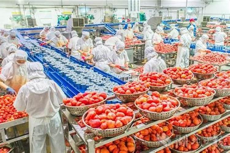 叶面肥哪个厂家最好