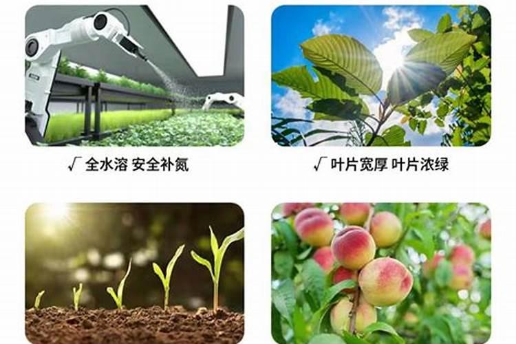液体氮肥哪个厂家好