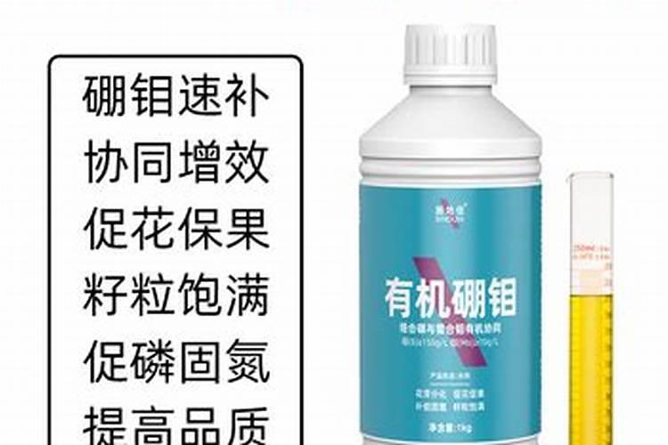 种植芋头的时候,最好选择在哪个时间段呢？