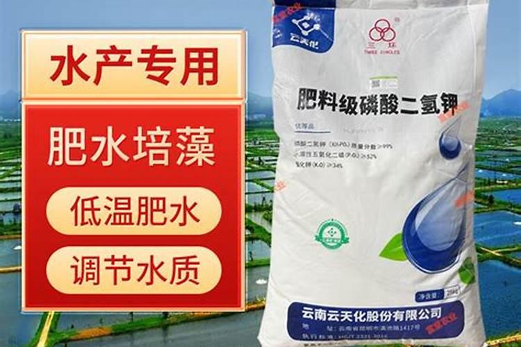 在水产养殖过程中怎样用磷酸二氢钾肥水