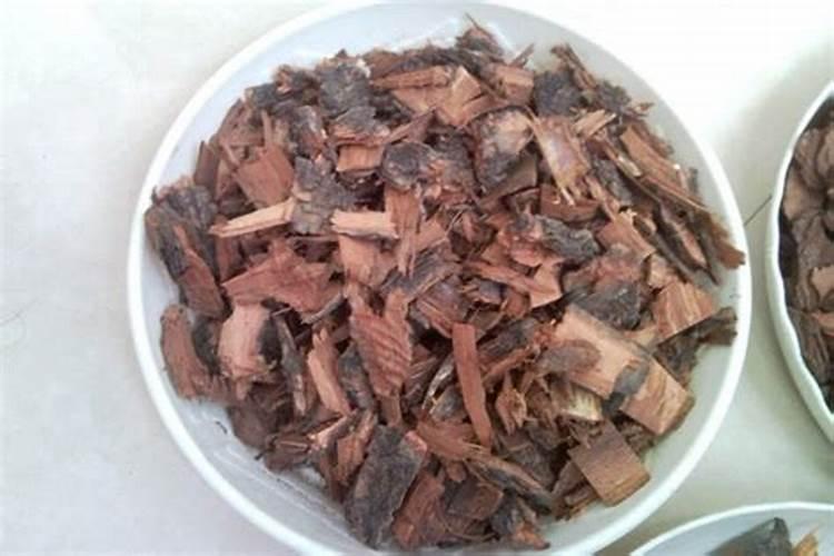 柳树育苗方法是什么？有谁说说看？