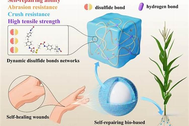 求腐殖酸的国家标准