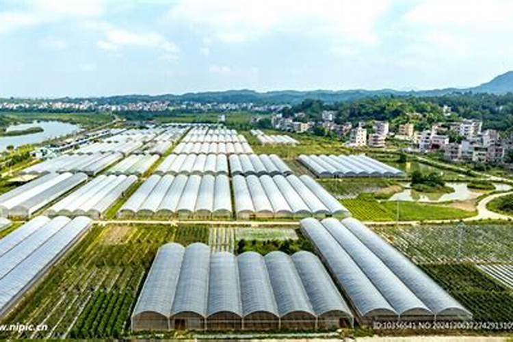 控释肥有几种包膜技术,有什么区别？有什么优点和缺点？