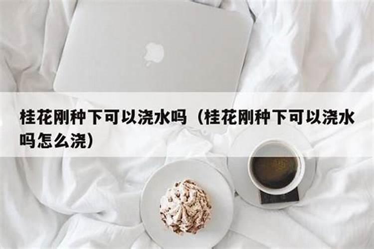 移栽桂花树多久能施肥 移栽桂花后多久可以施肥