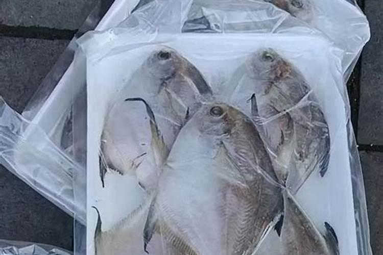 山东鱼蛋白最出名的三个品牌