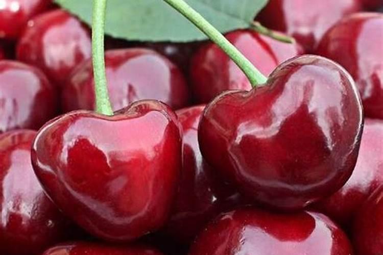 养金弹子10大忠告