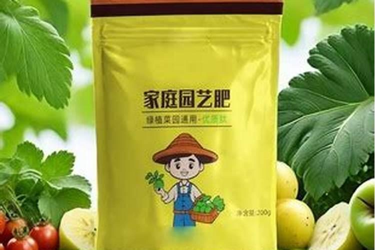 菜什么时候播种最好