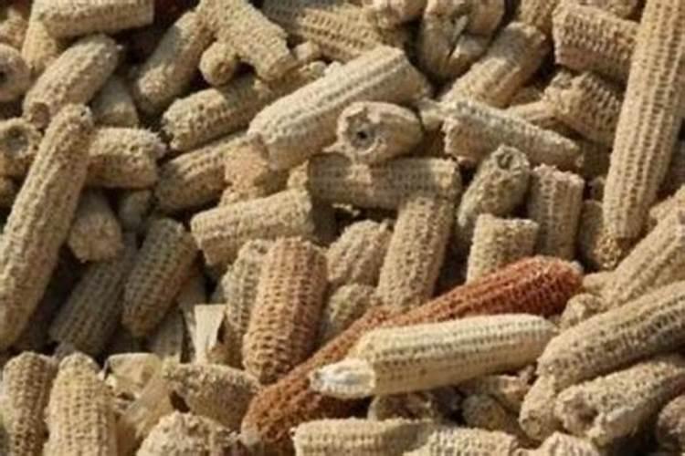 农村不要的“玉米芯”原来还有这几个妙用