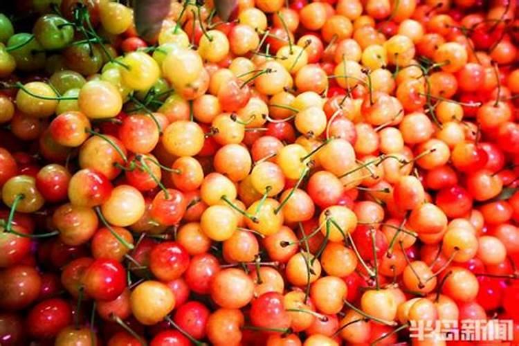 大樱桃树花期追什么肥好？