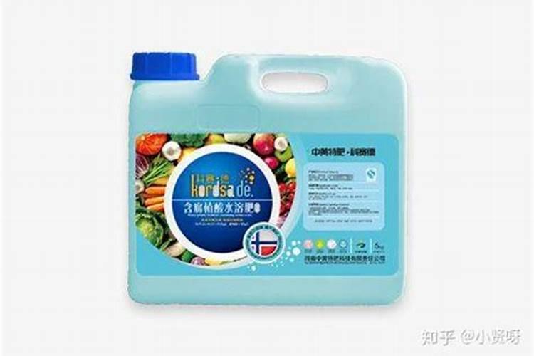 兰花开败了杆怎么处理