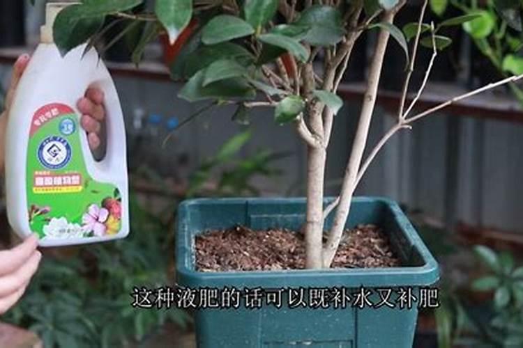 怎样鉴别真假磷酸二氢钾？