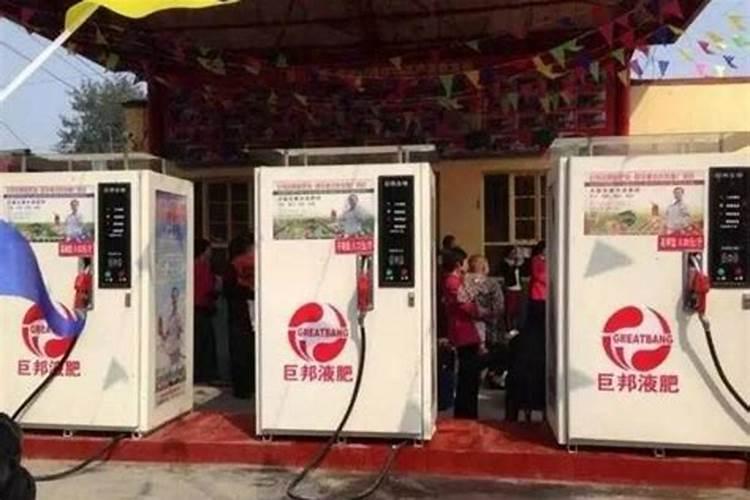 节节高怎么养怎样加肥