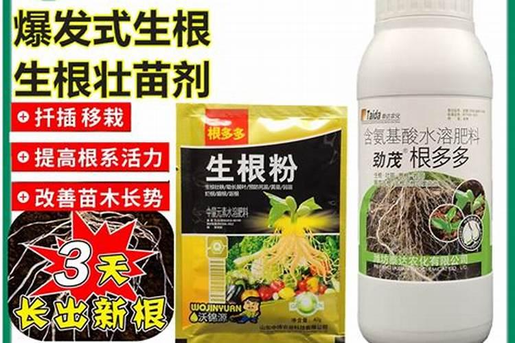 什么肥料对兰花发芽生根开花最好