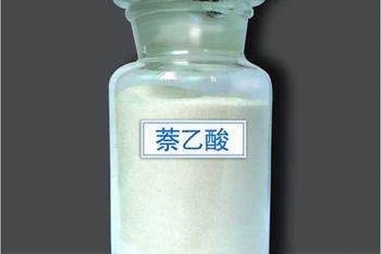 白菜干烧心的成因与防治