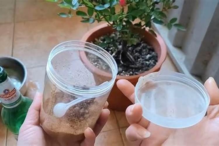 花肥的制作方法 花肥的正确制作方法