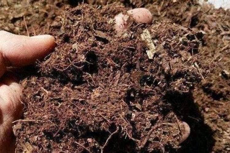 花肥的制作方法