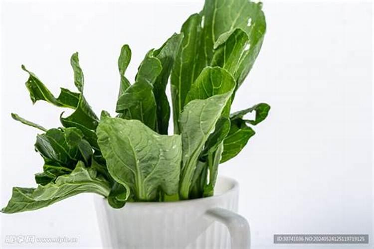 ...白菜,瓢儿菜,菜心等蔬菜,要用什么叶面肥,什么药治虫,治各种疾病百 ...